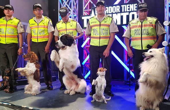 Perros de rescate ganan la final de Ecuador Tiene Talento 5