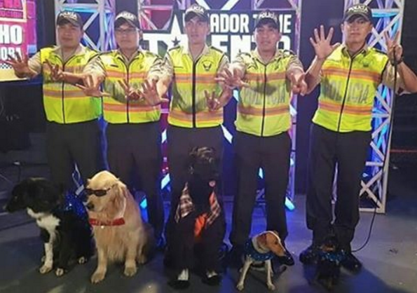 Perros de rescate ganan la final de Ecuador Tiene Talento 5