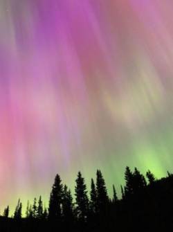 La aurora boreal se vio en Manning Park, Columbia Británica, Canadá.