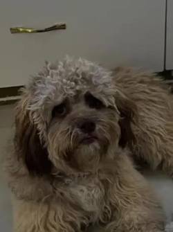 Televistazo en la Comunidad Guayaquil | 18-12-2025