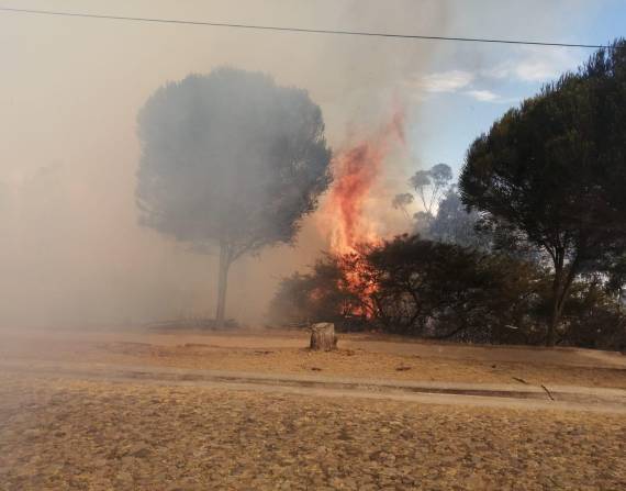 Incendio forestal en el Reservorio de Cumbayá.
