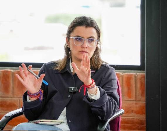 Vicepresidenta María José Pinto.