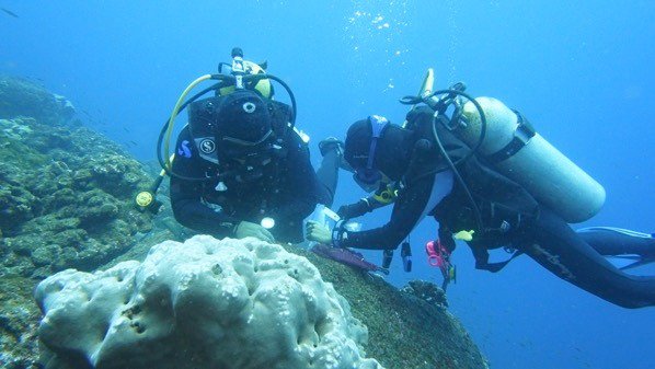 El océano, víctima del calentamiento global
