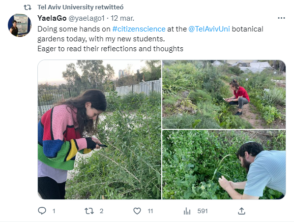 El sonido de las plantas estresadas, ¿cómo detectarlo?