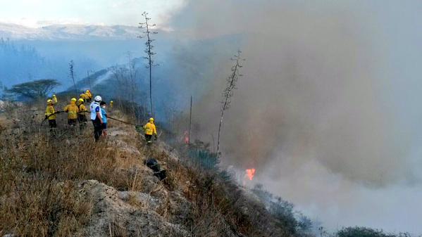 Incendio forestal en Puembo fue controlado