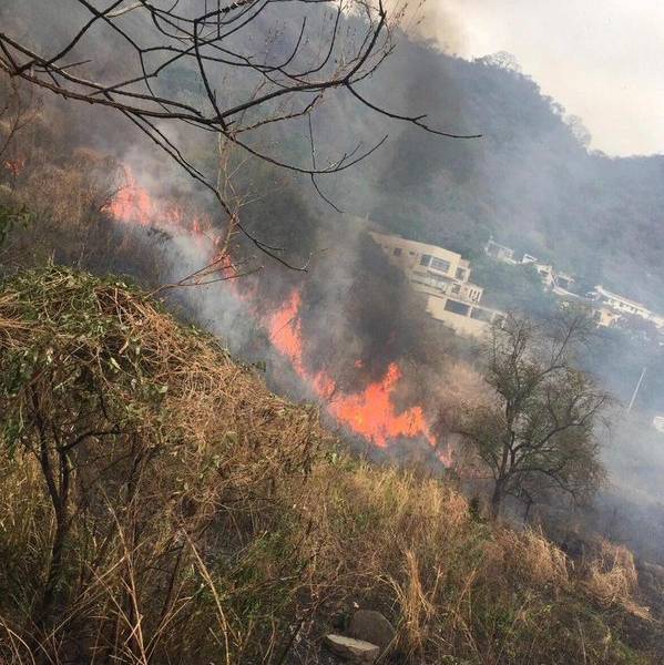 10 unidades intentan controlar incendio forestal en Cerro Paraíso