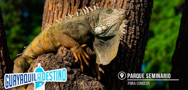 Gloria Gallardo: Guayaquil además de destino para negocios tiene todos los atractivos turísticos