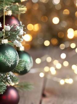 Televistazo en la Comunidad GYE | 08-12-2025