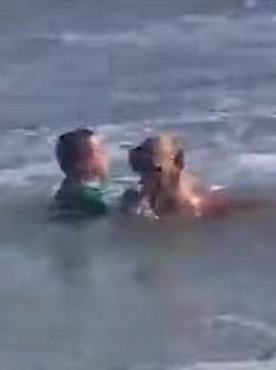 Captura del video, rescate del perro en el mar