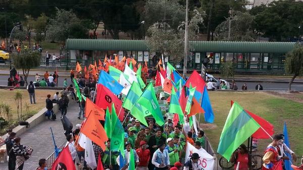 15 organizaciones políticas anuncian su apoyo al régimen