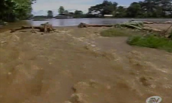 Un río desbordado y decenas de hectáreas en cultivos destruidas por lluvias en Babahoyo