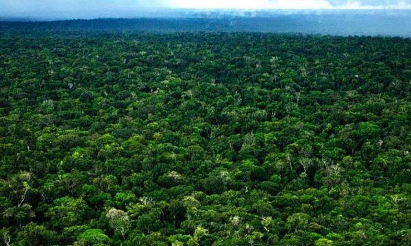 Los taromenane y los tagaeri, los pueblos no contactados de Ecuador