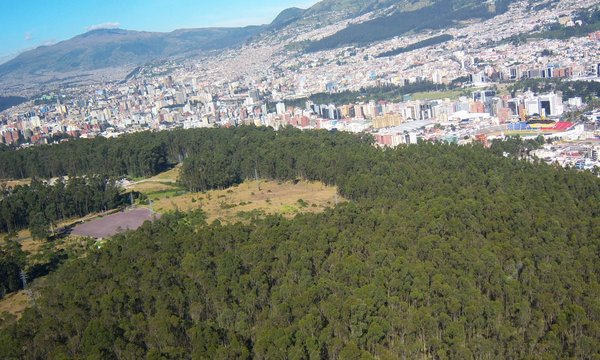 Encuentran en un parque de Quito el cuerpo de una joven de 22 años