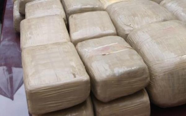 Desarticulan organización que intentó enviar cocaína a Europa