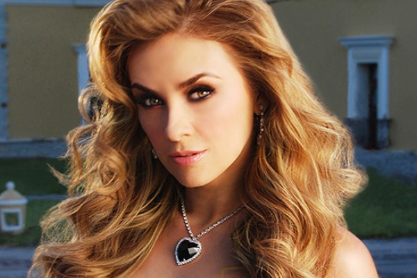 Playboy quiere a Aracely Arámbula en sus páginas