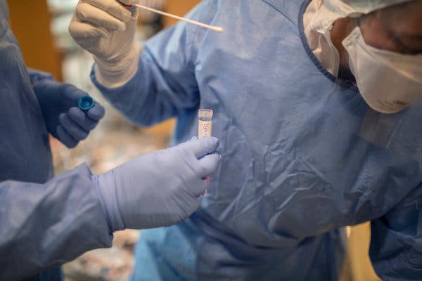 Encuentran tres tipos de respuesta inmune ante la COVID-19