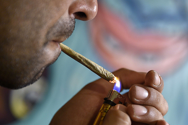 Consumo de marihuana aumentó en los últimos tres años en Ecuador
