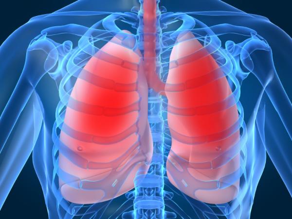 Descubren una función desconocida de los pulmones