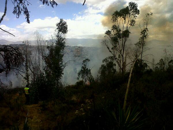 Más de 5.000 hectáreas de bosques afectadas en Ecuador