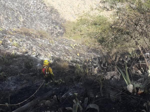Realizan homenaje póstumo a bomberos fallecidos en incendio en Puembo