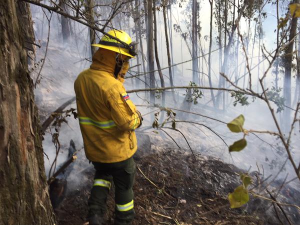 Incendio consume cerro cercano a Quito
