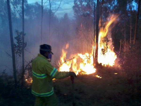 Incendio en el norte de Ibarra ha consumido 500 hectáreas de bosque