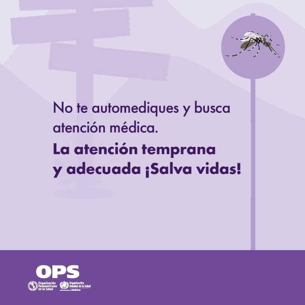 Evita el dengue, toma medidas para evitar picaduras de mosquitos