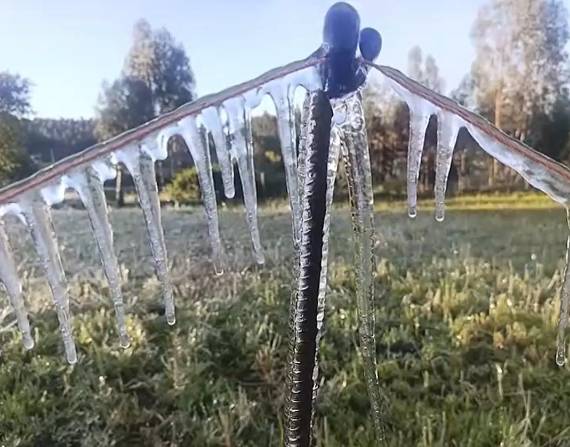 Hielo cubre parte de los sembríos en Cotopaxi.