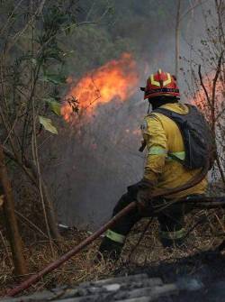 Uno de los incendios reportados, en 2024, en el Distrito Metropolitano de Quito.