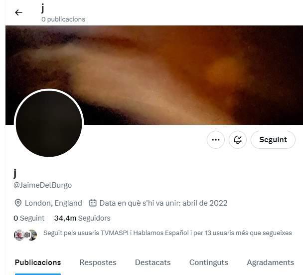 Captura de pantalla de Twitter del perfil de Jaime Del Burgo en la actualidad, sin rastro de actividad.