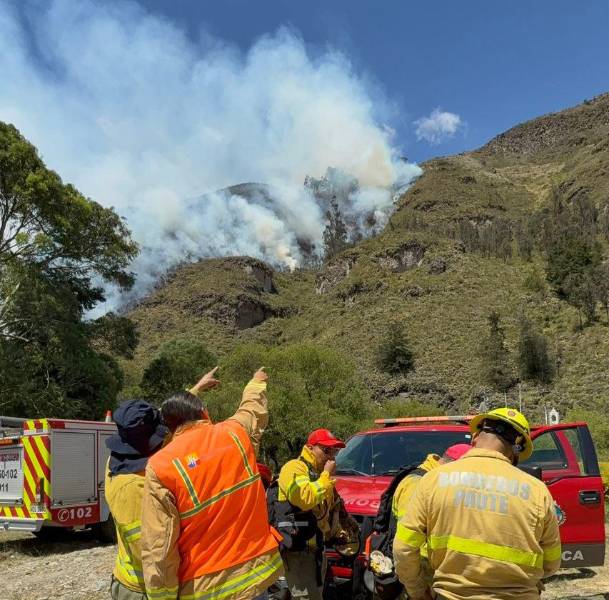 Autoridades intentan controlar el incendio forestal en Paute.