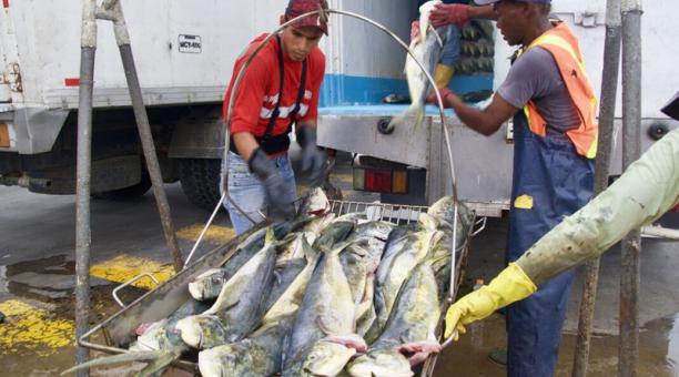 6 ecuatorianos detenidos en Colombia con pesca ilegal