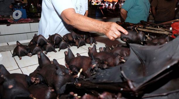 La venta de murciélagos desafía el miedo a la COVID-19 en Indonesia