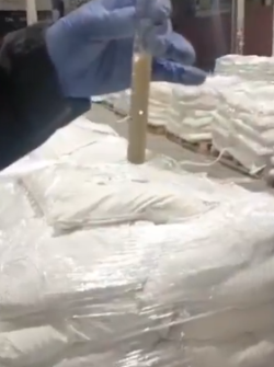 La operación se realizó en el puerto de Posorja, en Guayaquil, donde los agentes investigativos inspeccionaron tres contenedores y encontraron, con la ayuda de perros entrenados, 36 sacos con droga.