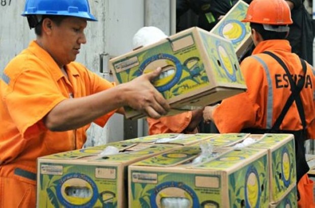 Ministro de Agricultura anunció fuertes controles sobre el precio de la caja de banano