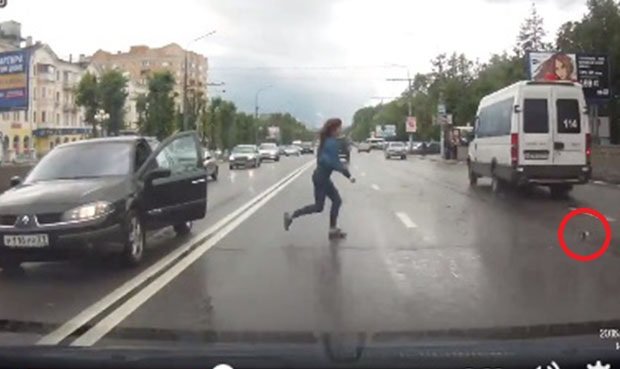 Mujer arriesga su vida, detiene el tráfico y salva a gatito en peligro