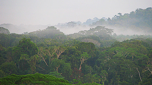 Los riesgos de la cirugía bariátrica