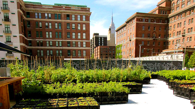 Los riesgos de la cirugía bariátrica