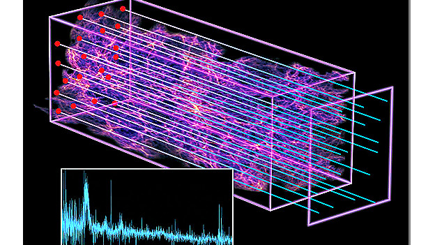 Un mapa en 3D para explorar la historia del Universo