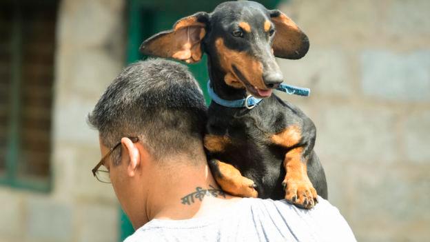 Shukla dice que cada vez que ve un perro abandonado o enfermo, se lo lleva a casa.