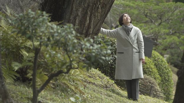 Hiroshima: los árboles que sobrevivieron a la bomba atómica
