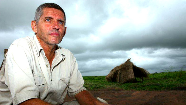 Matan elefantes con ametralladoras por el marfil