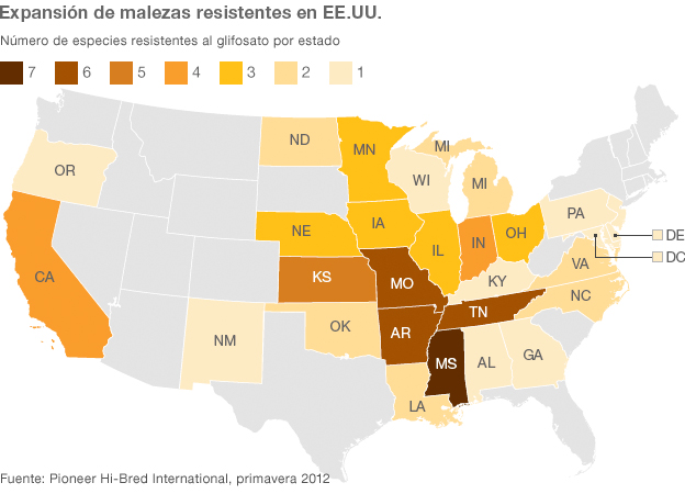 Los riesgos de la cirugía bariátrica