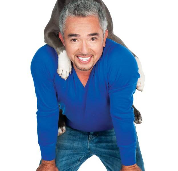 Ecuavisa te lleva a ver a César Millán, el “Encantador de Perros”