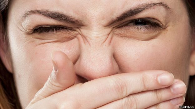 ¿Cómo distingue el cerebro entre un buen y mal olor?