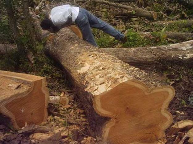 Trabajadores de La Clementina exigen pago de liquidaciones