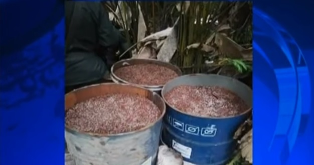 Nuevo grupo toma el puesto del frente &#039;Oliver Sinisterra&#039;