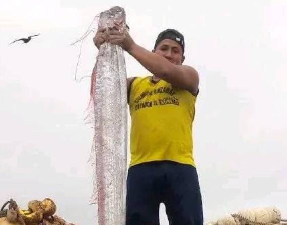 El pez fue encontrado a unas 40 millas náuticas (74 kilómetros) de Anconcito.