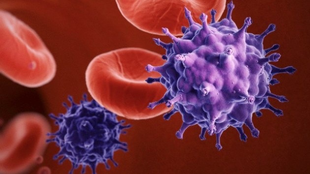 Descubren cuál fue el origen del Sida