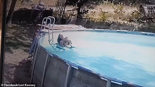 Un niño rescató a su madre mientras sufría una convulsión en una piscina